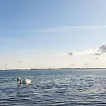 Zum Wohlfuehlen Fuer Max 5 Erwachsene Und 1 Kind, Schwimmbad Vor Der Tuer, Tiere Erlaubt Daire