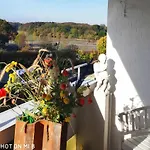 Zum Wohlfuehlen Fuer Max 5 Erwachsene Und 1 Kind, Schwimmbad Vor Der Tuer, Tiere Erlaubt Daire *