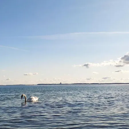 Zum Wohlfuehlen Fuer Max 5 Erwachsene Und 1 Kind, Schwimmbad Vor Der Tuer, Tiere Erlaubt Appartement
